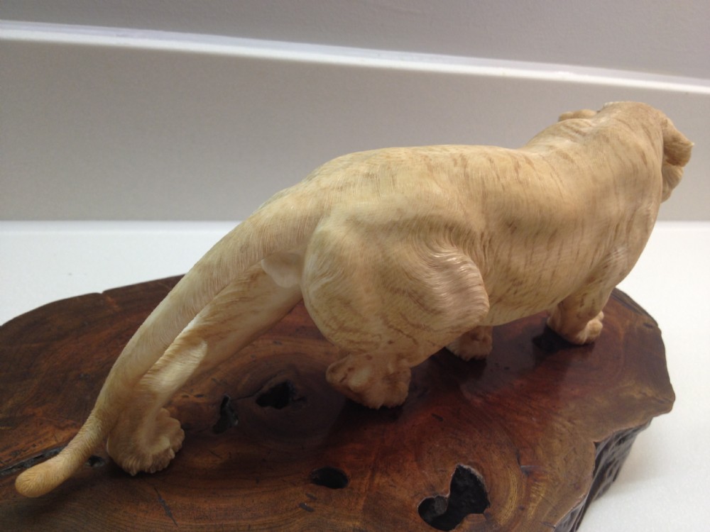 MAGNIFICENT QUALITY LARGE JAPANESE IVORY OKIMONO TIGER MEIJI PERIOD View VI