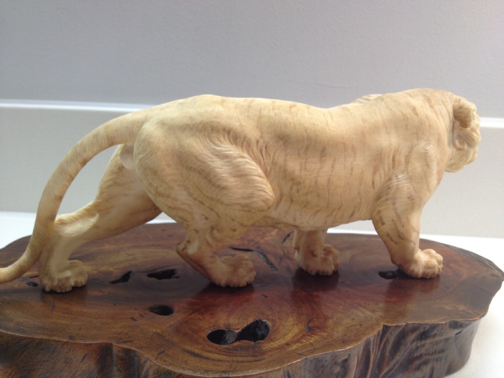 MAGNIFICENT QUALITY LARGE JAPANESE IVORY OKIMONO TIGER MEIJI PERIOD View VII