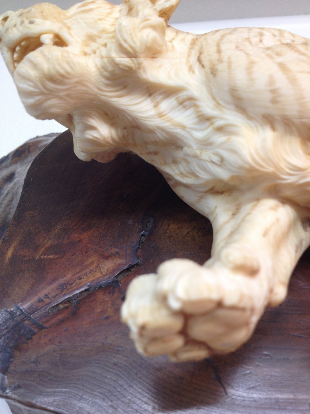 MAGNIFICENT QUALITY LARGE JAPANESE IVORY OKIMONO TIGER MEIJI PERIOD View XI