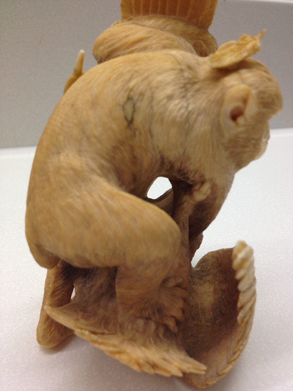 MAGNIFICENT QUALITY JAPANESE IVORY OKIMONO MONKEY AND EAGLE View XIII