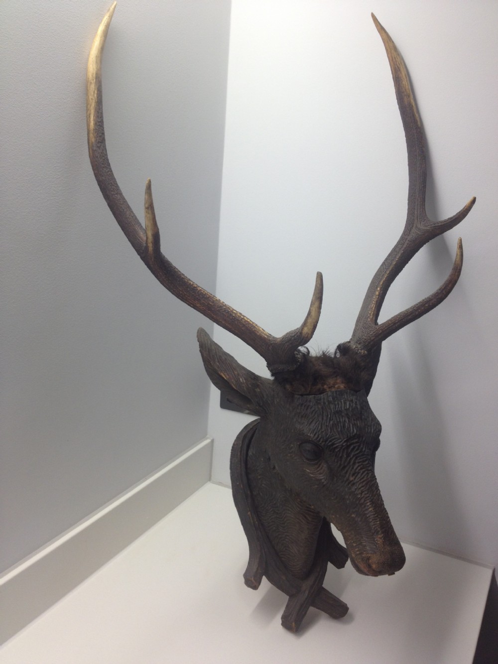 VICTORIAN CARVED BLACK FOREST DEERS HEAD WITH REAL ANTLERS