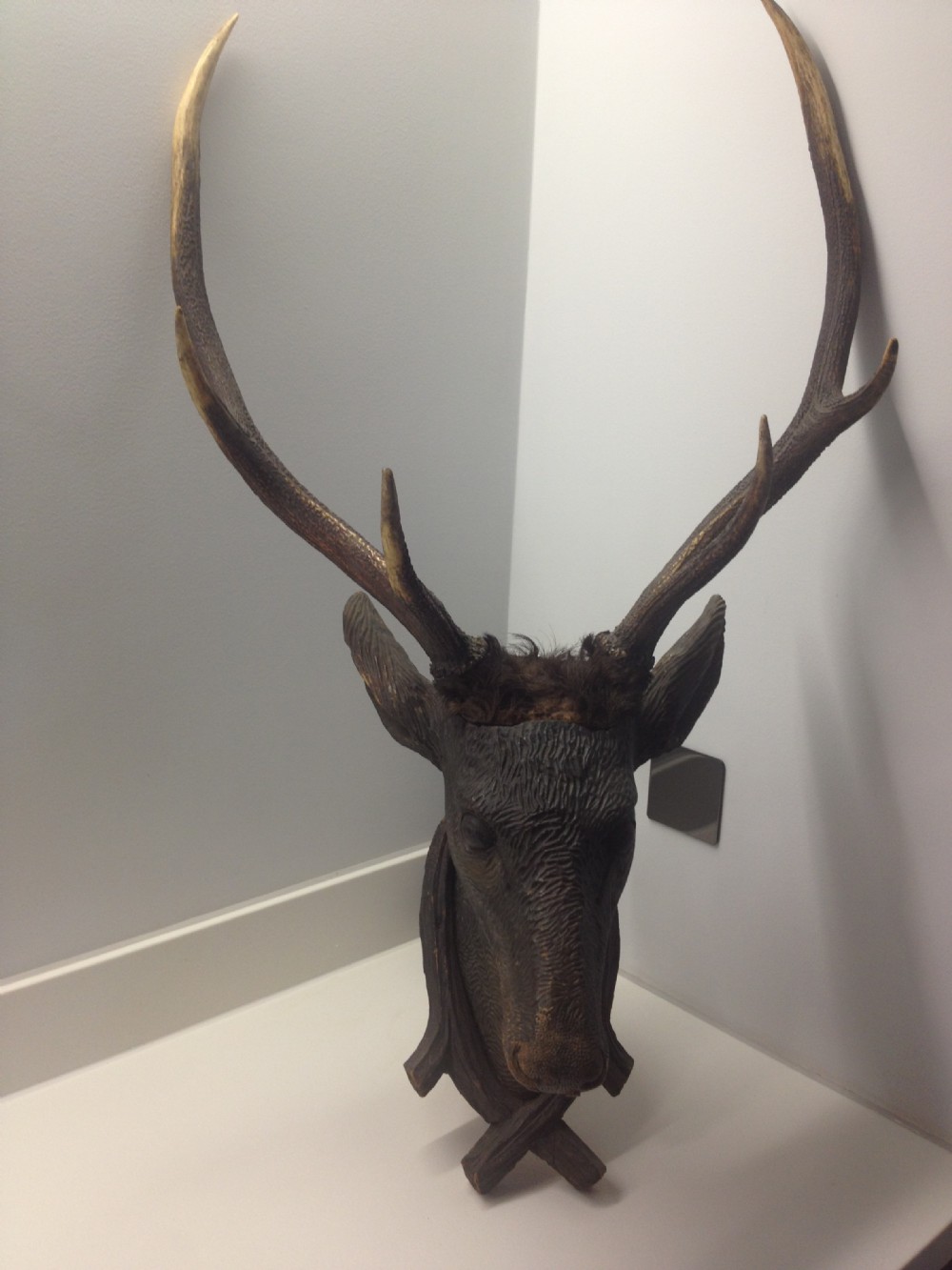 VICTORIAN CARVED BLACK FOREST DEERS HEAD WITH REAL ANTLERS View II