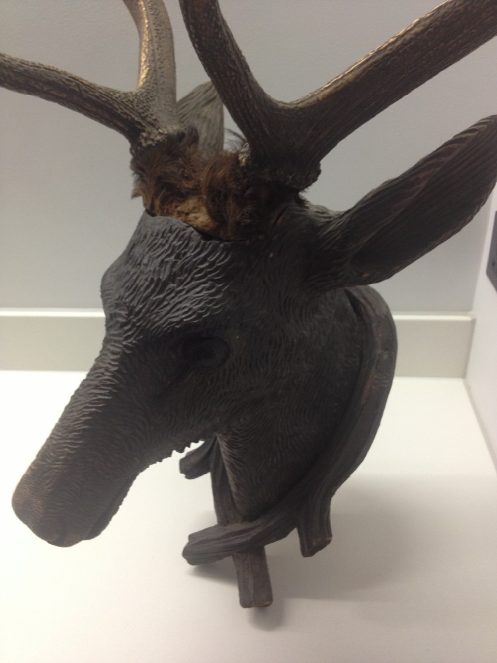 VICTORIAN CARVED BLACK FOREST DEERS HEAD WITH REAL ANTLERS View IV