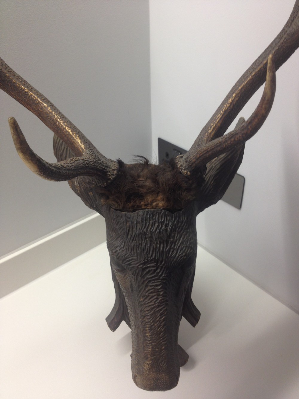 VICTORIAN CARVED BLACK FOREST DEERS HEAD WITH REAL ANTLERS View V
