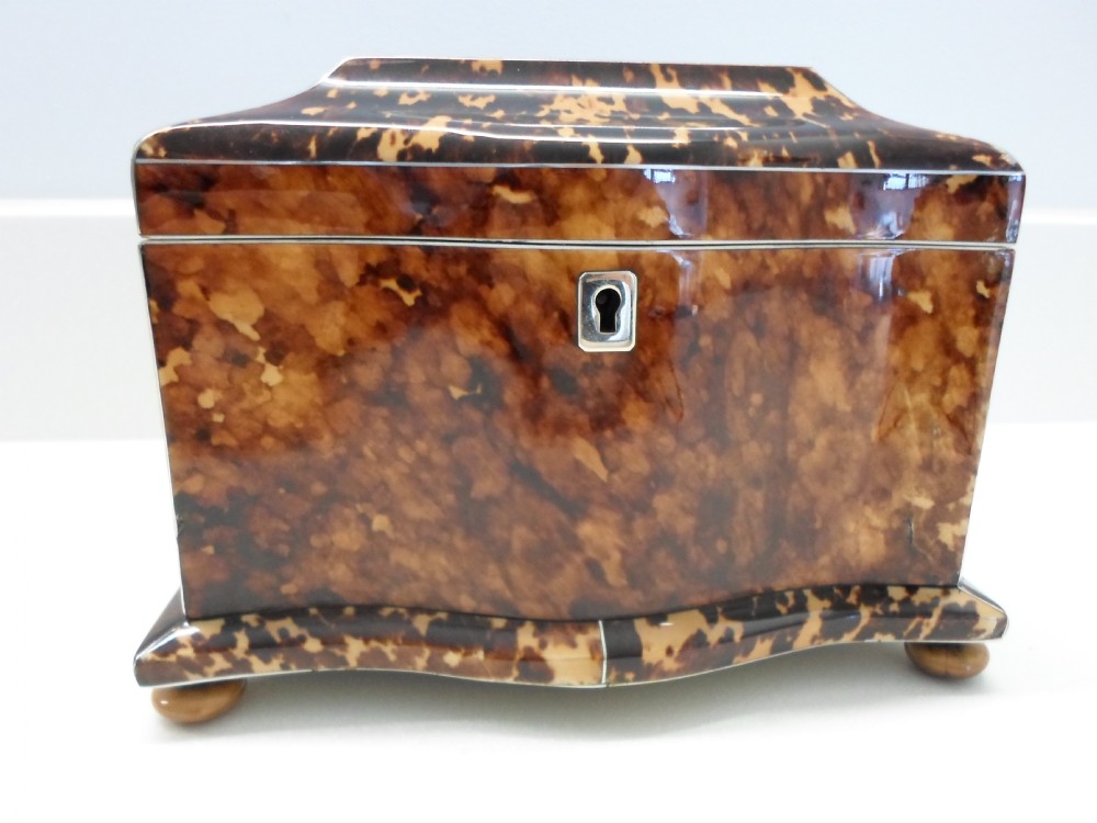 SUPERB REGENCY TORTOISESHELL AND IVORY TEA CADDY
