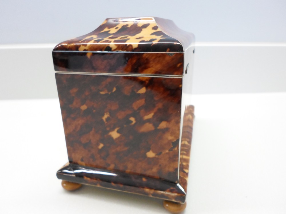 SUPERB REGENCY TORTOISESHELL AND IVORY TEA CADDY View VI