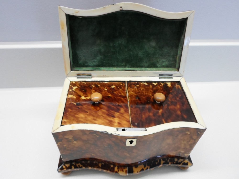 SUPERB REGENCY TORTOISESHELL AND IVORY TEA CADDY View VII
