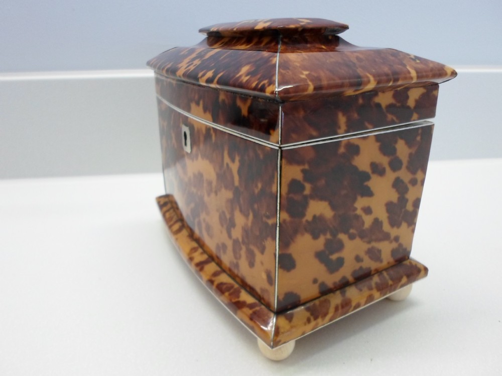 SUPERB REGENCY TORTOISESHELL & IVORY TEA CADDY View III
