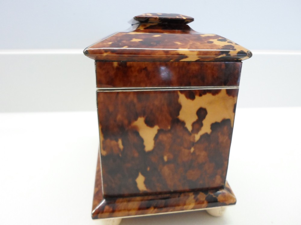 SUPERB REGENCY TORTOISESHELL & IVORY TEA CADDY View V