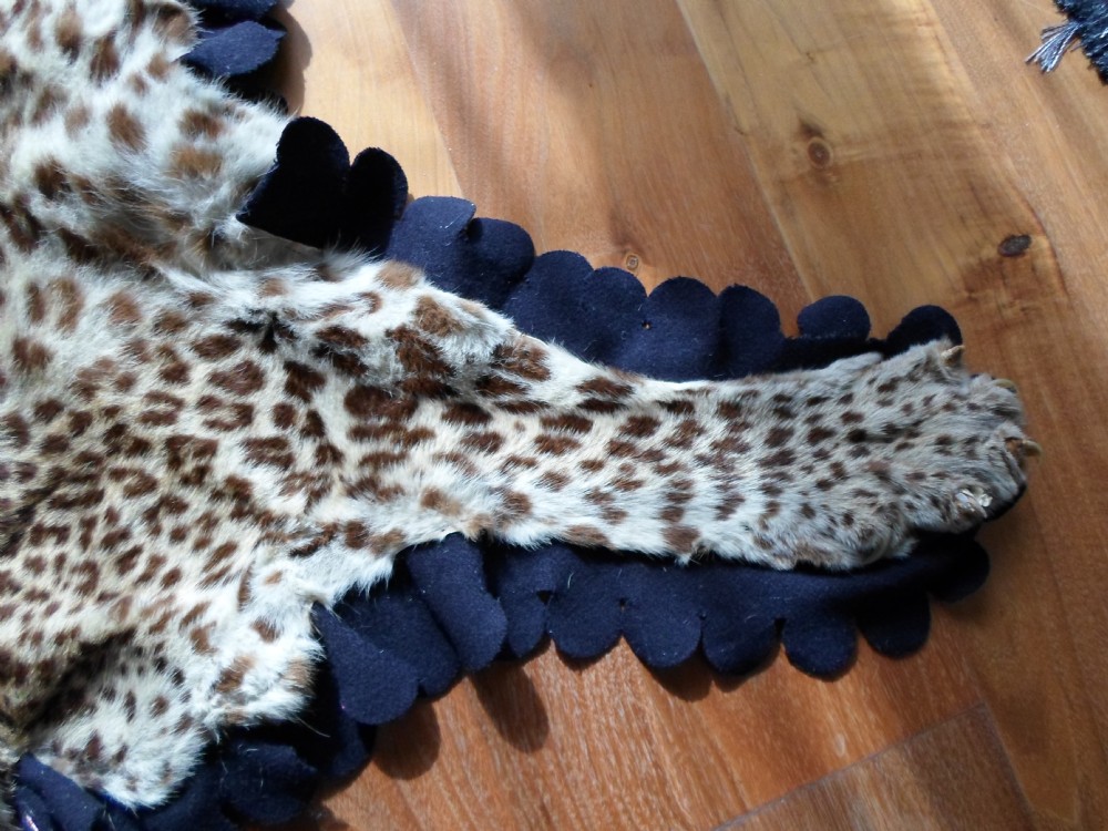 TAXIDERMY MOUNTED HEAD YOUNG LEOPARD SKIN RUG  View V