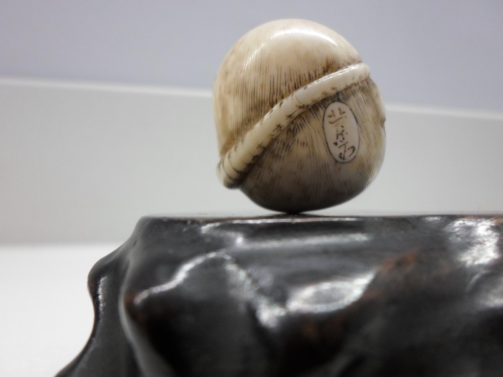 FINE JAPANESE IVORY NETSUKE RODENT SIGNED RANTEI View IV
