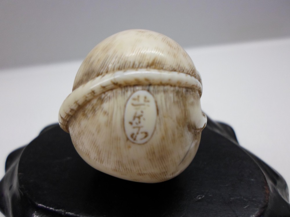 FINE JAPANESE IVORY NETSUKE RODENT SIGNED RANTEI View VI