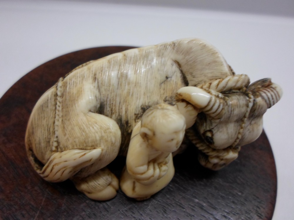 JAPANESE IVORY NETSUKE OX SIGNED TOMOTADA SCHOOL View V