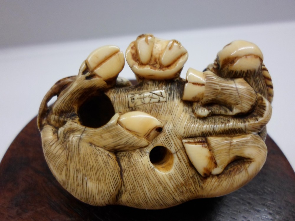 JAPANESE IVORY NETSUKE OX SIGNED TOMOTADA SCHOOL View VII
