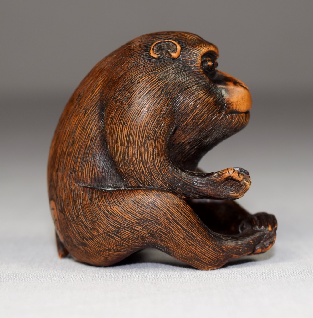 LARGE JAPANESE BOXWOOD NETSUKE MONKEY SIGNED ICHIMASA View IV
