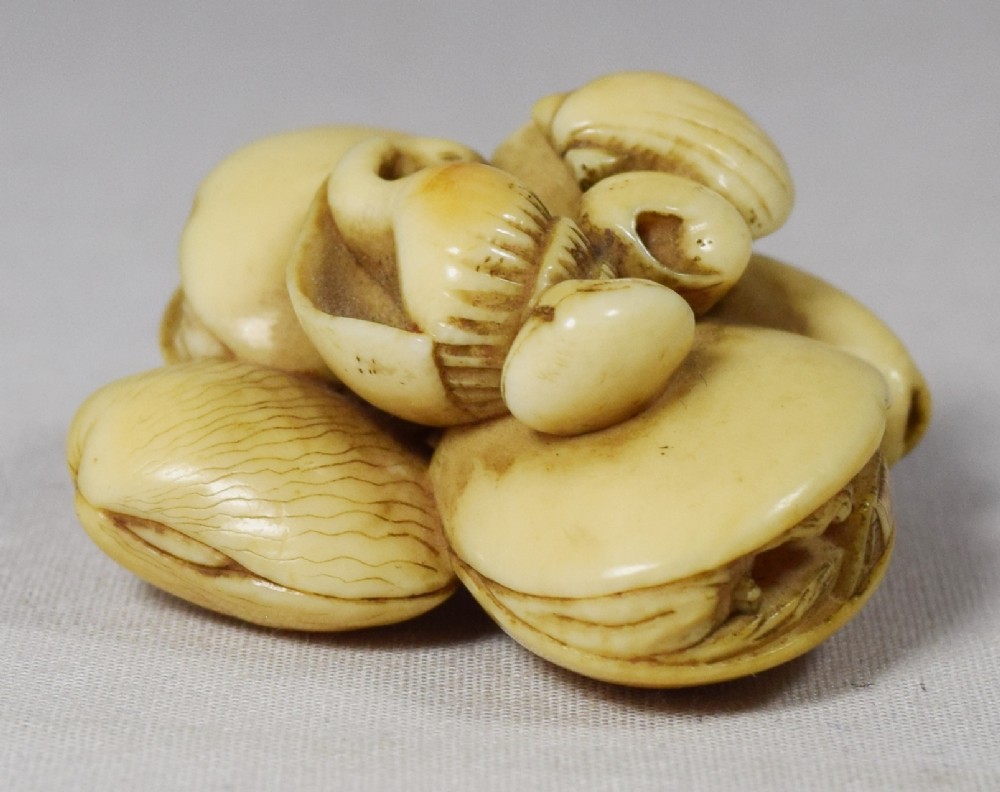 a lovely quality japanese ivory sea shell netsuke - CATEGORY: ANTIQUE MISCELLANEOUS - DATED 1890