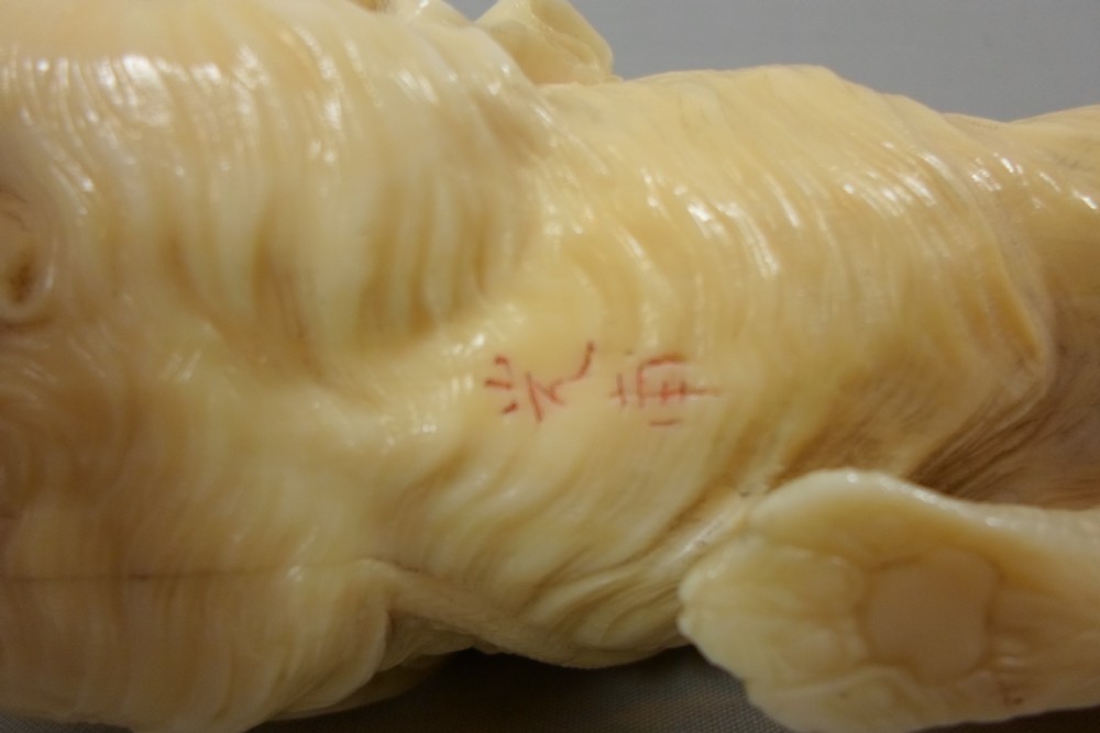 A CHARMING JAPANESE IVORY OKIMONO OF A PEKINGESE DOG View VIII