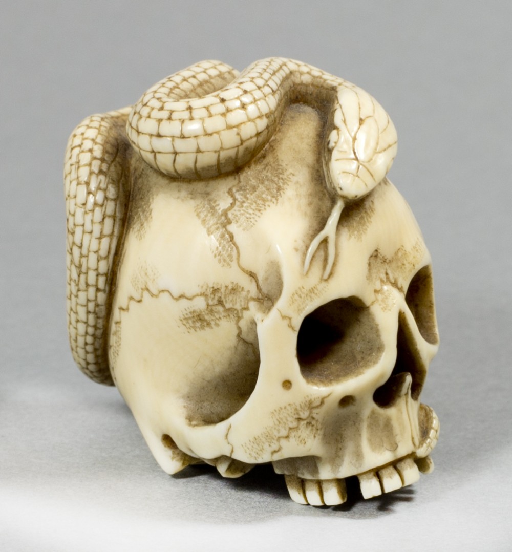 A GOOD JAPANESE MEIJI PERIOD IVORY SKULL AND SNAKE NETSUKE View II