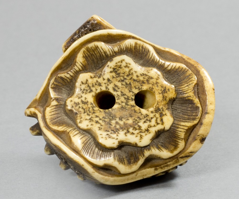 AN UNUSUAL JAPANESE EDO PERIOD STAG ANTLER RAT NETSUKE  View VI