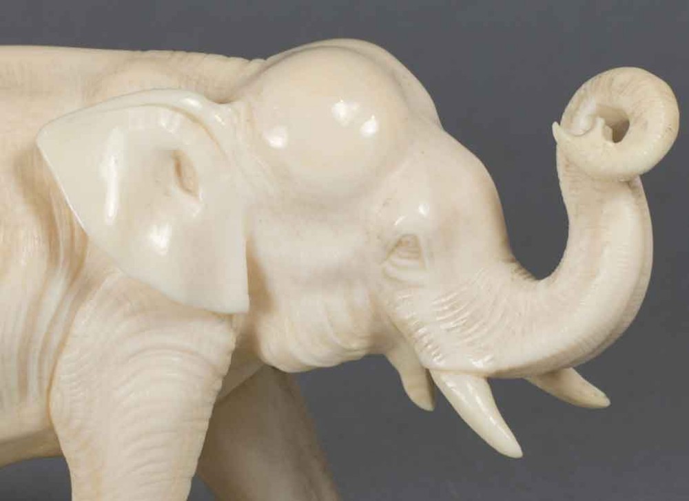 A FINE QUALITY JAPANESE ONE PIECE IVORY ELEPHANT OKIMONO View IX