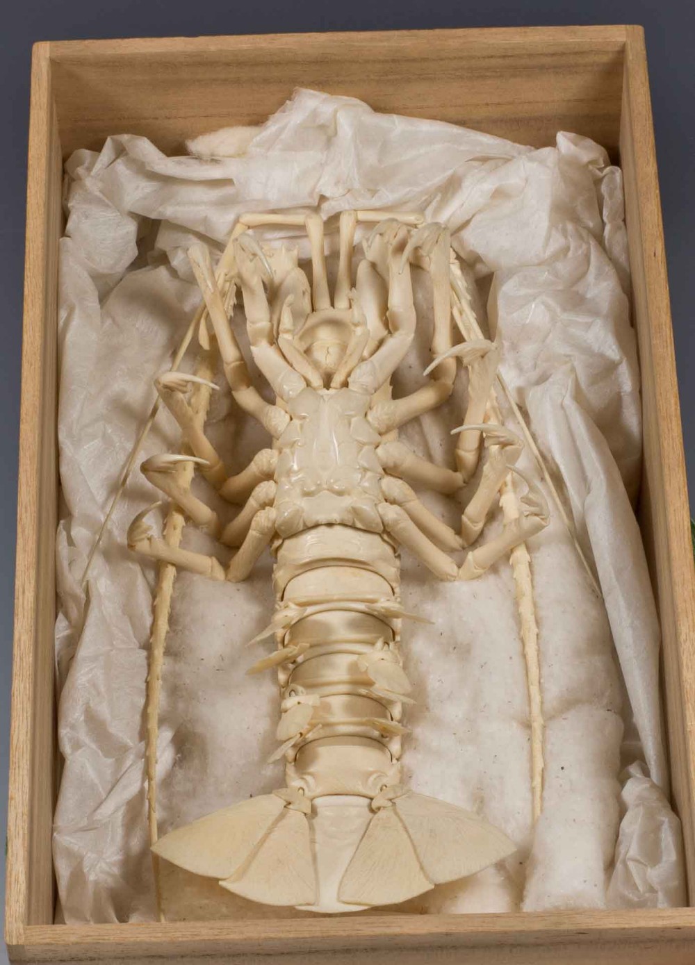 OUTSTANDING JAPANESE FULLY ARTICULATED IVORY LOBSTER OKIMONO-SAKURAI SOSAI View XI