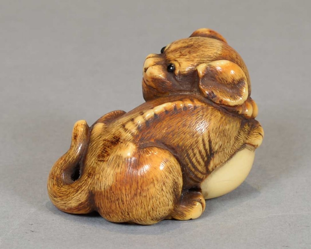 A CHARMING JAPANESE EDO PERIOD IVORY NETSUKE OF A PUPPY DOG CLUTCHING A BALL View V