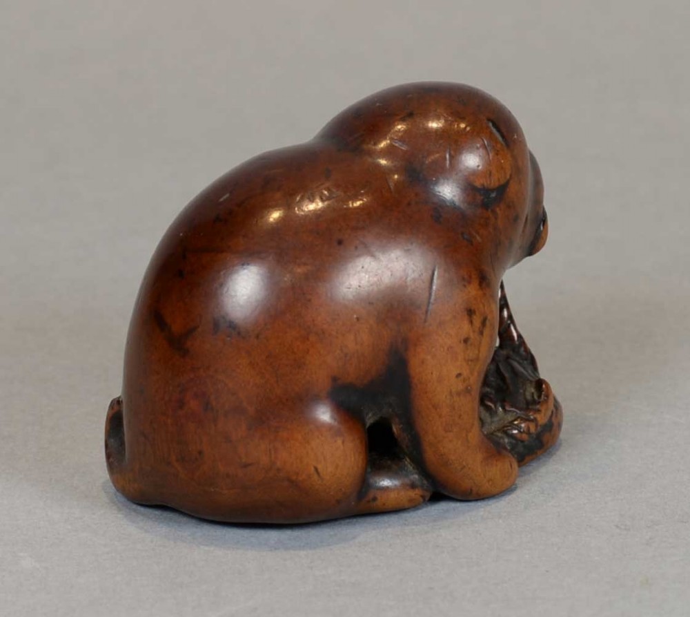 A DELIGHTFUL EDO PERIOD BOXWOOD NETSUKE OF AN AKITA PUPPY HOLDING AN ABALONE-SHELL TOY View V
