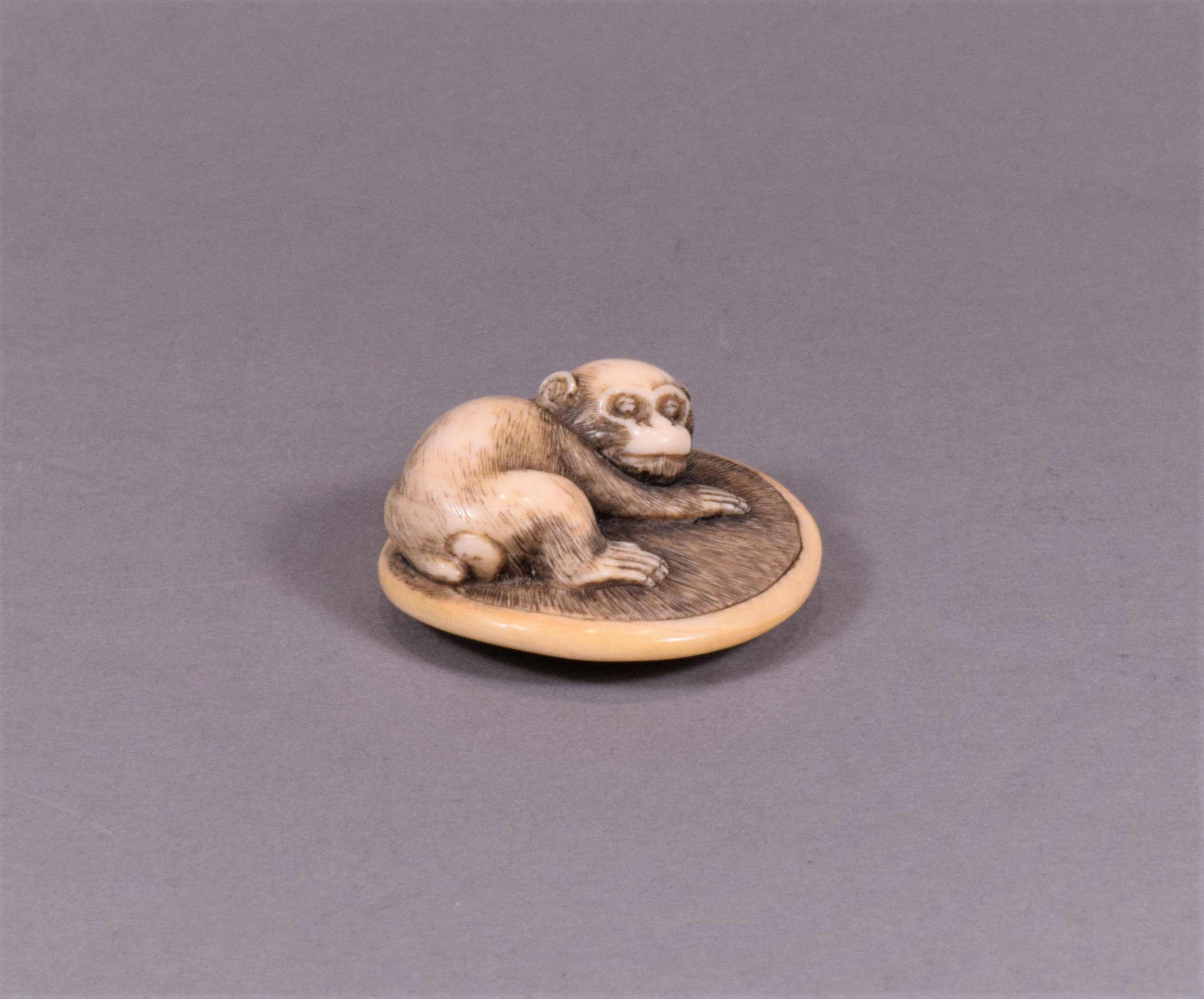 A CHARMING JAPANESE EDO PERIOD IVORY NETSUKE - MONKEY UPON ON A ZABUTON View VI