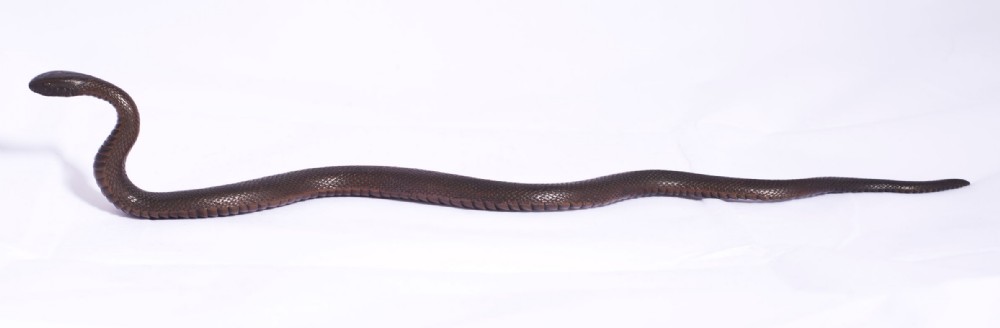 MOST UNUSUAL JAPANESE MEIJI PERIOD BRONZE SNAKE OKIMONO View IV