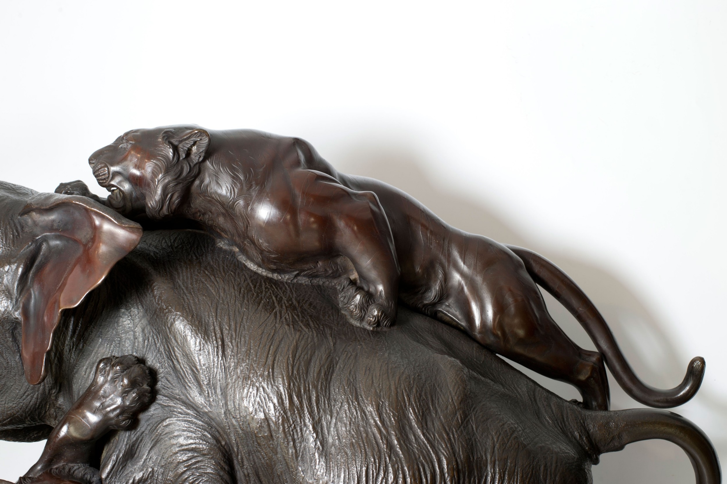 A Monumental Japanese Bronze Elephant & Tiger Okimono - Morimitsu for Seiya. View XI