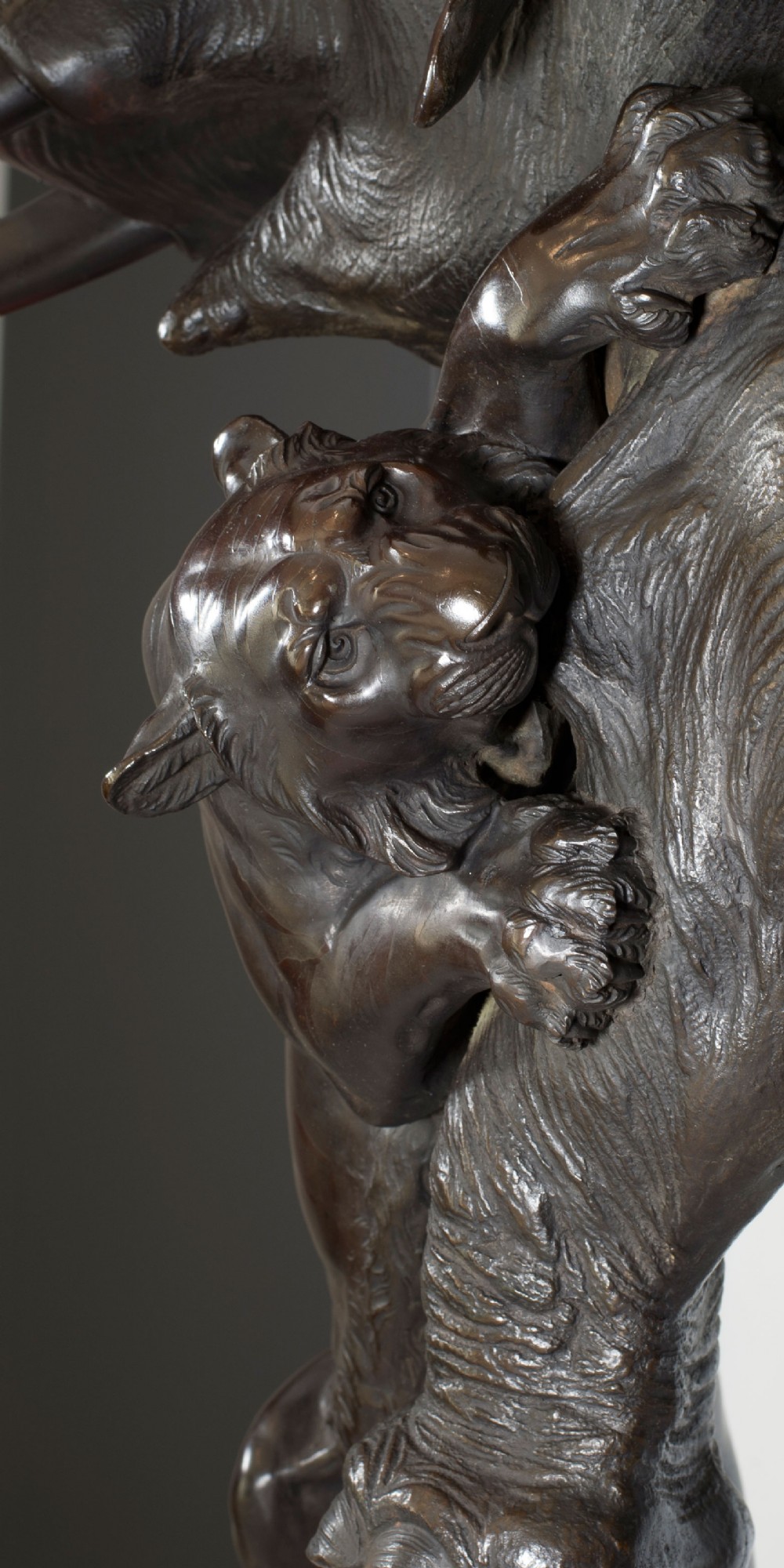 A Monumental Japanese Bronze Elephant & Tiger Okimono - Morimitsu for Seiya. View XIV