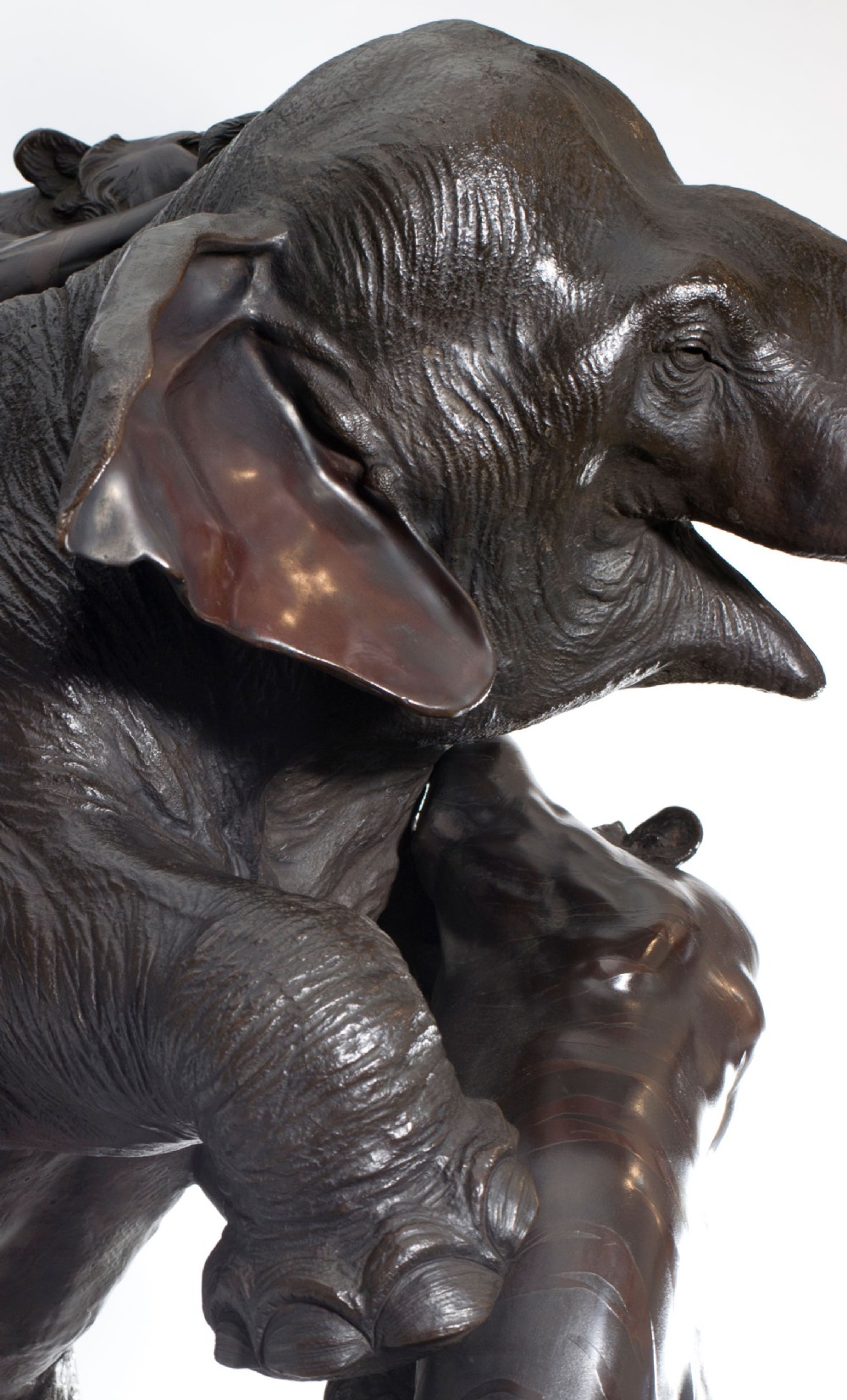 A Monumental Japanese Bronze Elephant & Tiger Okimono - Morimitsu for Seiya. View XVIII