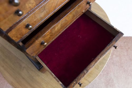 19TH CENTURY MAHOGANY COLLECTORS CABINET - ADDITIONAL PHOTO 5