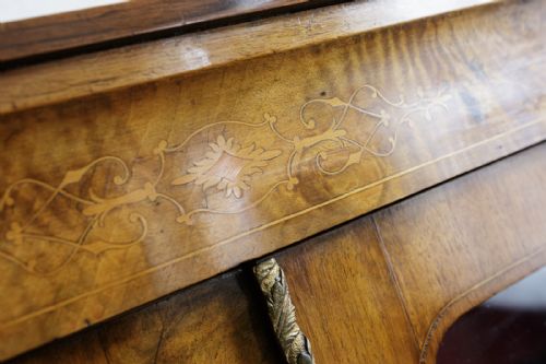 VICTORIAN BURR WALNUT BOOKCASE WITH TWO DOORS - ADDITIONAL PHOTO 11