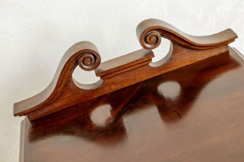 LATE 19TH CENTURY MAHOGANY POT CUPBOARD - ADDITIONAL PHOTO 5