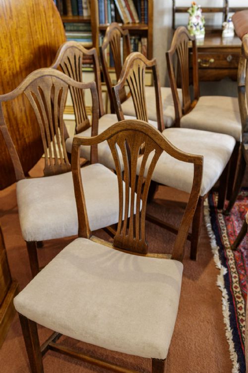 a set of six hepplewhite style dining chairs - CATEGORY: ANTIQUE CHAIRS - DATED 18TH CENTURY
