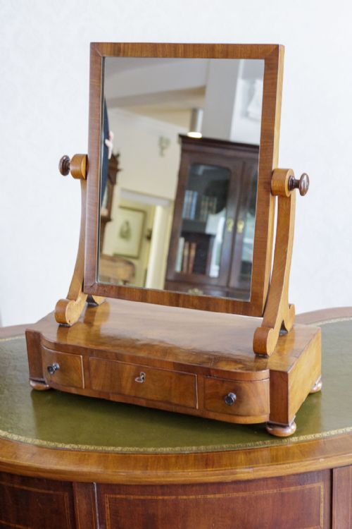 EARLY 19TH CENTURY MAHOGANY BOX DRESSING MIRROR - ADDITIONAL PHOTO 3