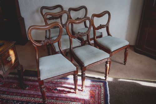 set of six dining chairs - CATEGORY: ANTIQUE CHAIRS - DATED 19TH CENTURY