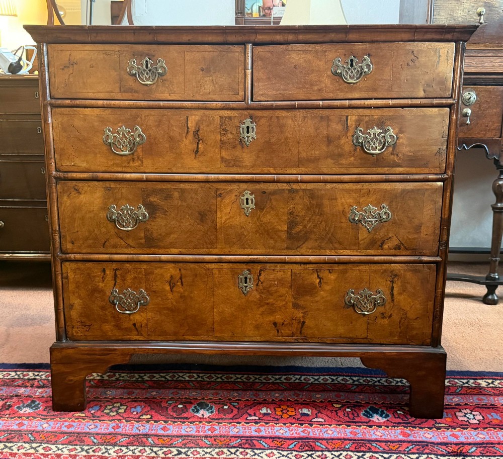 An antique burr walnut chest of drawers featuring two short over three long drawers with ornate brass drop handles and bracket feet.