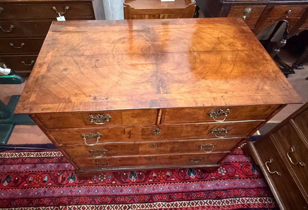 An antique burr walnut chest of drawers featuring two short over three long drawers with ornate brass drop handles and bracket feet. View VI