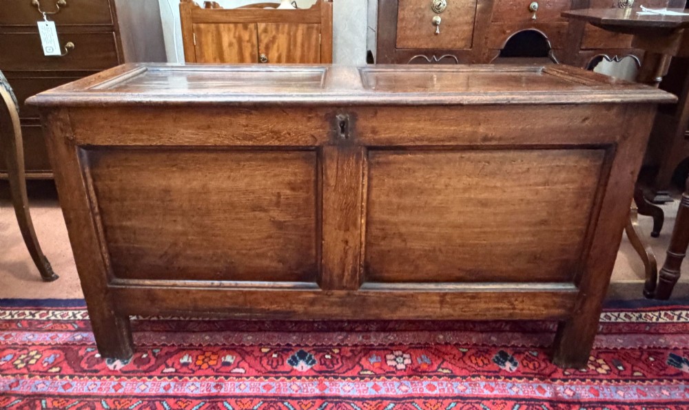 An antique oak coffer featuring a hinged rectangular top, two recessed front panels, and a central iron keyhole escutcheon resting on short block feet.