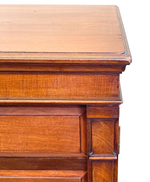 MAHOGANY DOUBLE WELLINGTON CHEST - ADDITIONAL PHOTO 3
