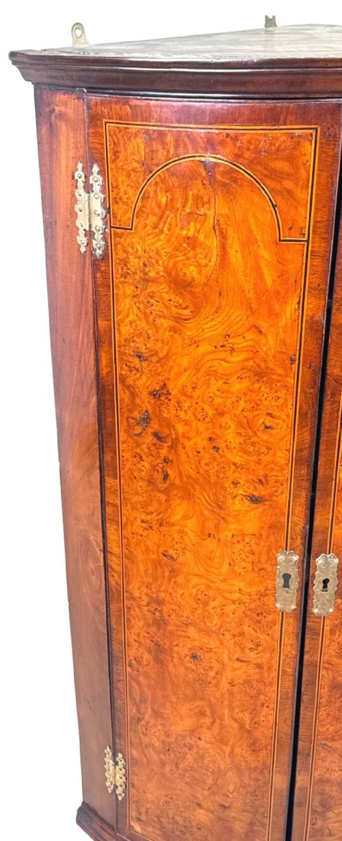 GEORGIAN ELM WALNUT CORNER CUPBOARD - ADDITIONAL PHOTO 1