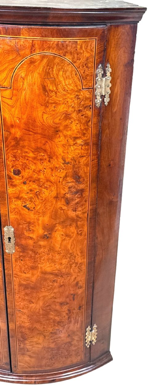 GEORGIAN ELM WALNUT CORNER CUPBOARD - ADDITIONAL PHOTO 4