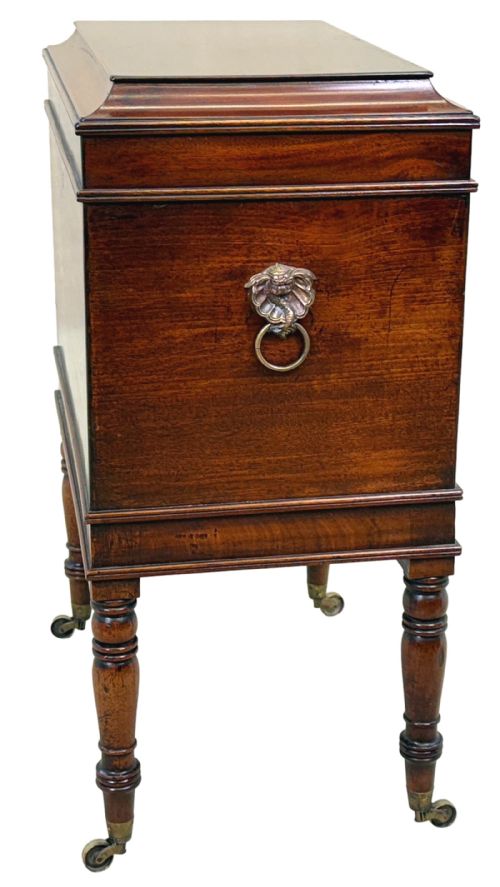 SMALL GEORGIAN MAHOGANY BOX CELLARETTE - ADDITIONAL PHOTO 1