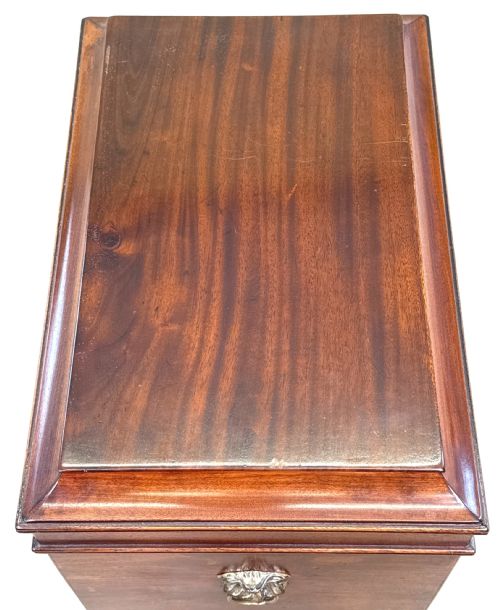 SMALL GEORGIAN MAHOGANY BOX CELLARETTE - ADDITIONAL PHOTO 2