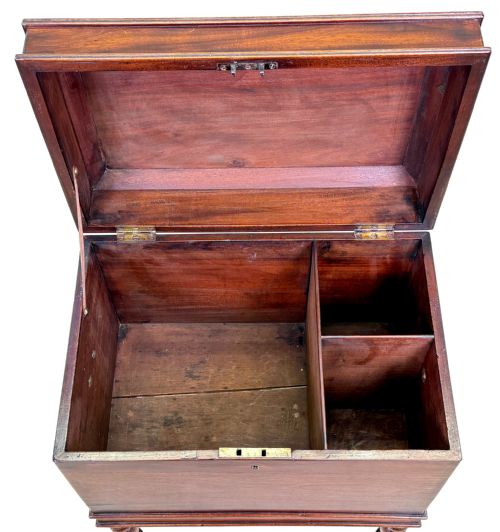 SMALL GEORGIAN MAHOGANY BOX CELLARETTE - ADDITIONAL PHOTO 6