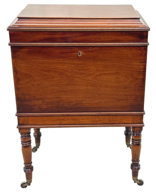 SMALL GEORGIAN MAHOGANY BOX CELLARETTE - ADDITIONAL PHOTO 9