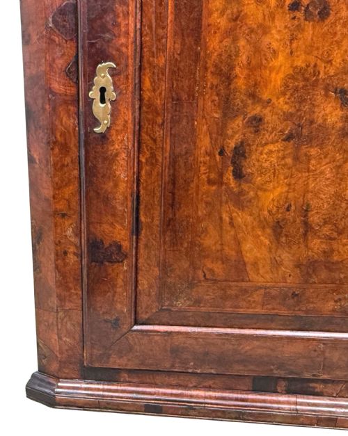 QUEEN ANNE BURR WALNUT HANGING CORNER CUPBOARD - ADDITIONAL PHOTO 4
