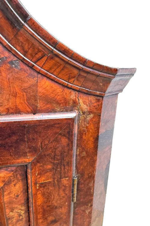 QUEEN ANNE BURR WALNUT HANGING CORNER CUPBOARD - ADDITIONAL PHOTO 6